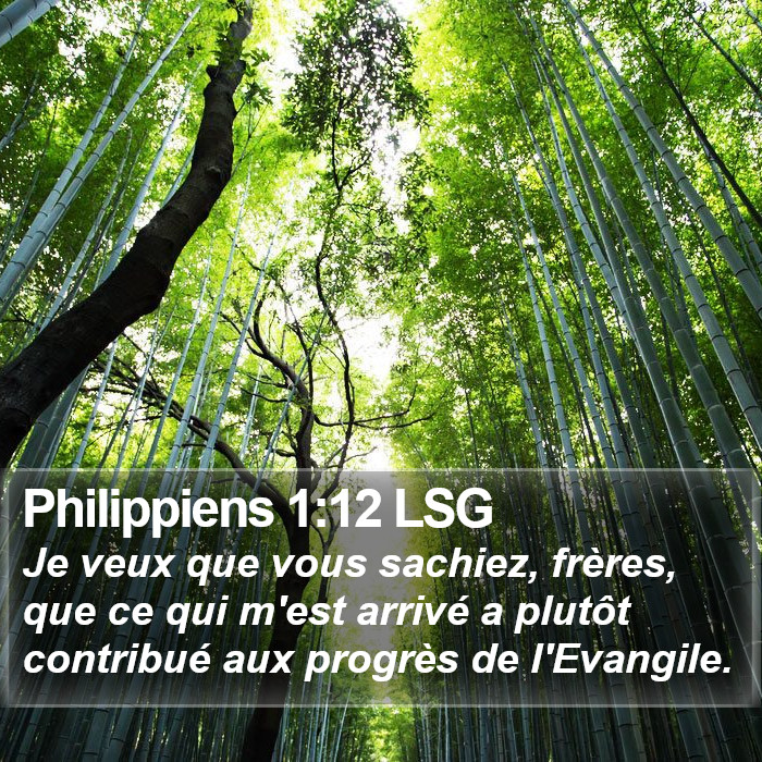 Philippiens 1:12 LSG Bible Study