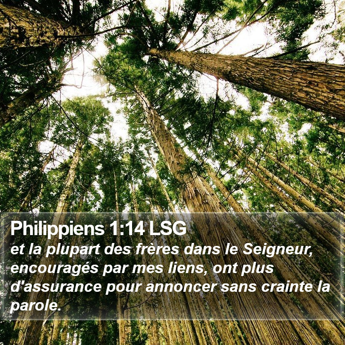 Philippiens 1:14 LSG Bible Study