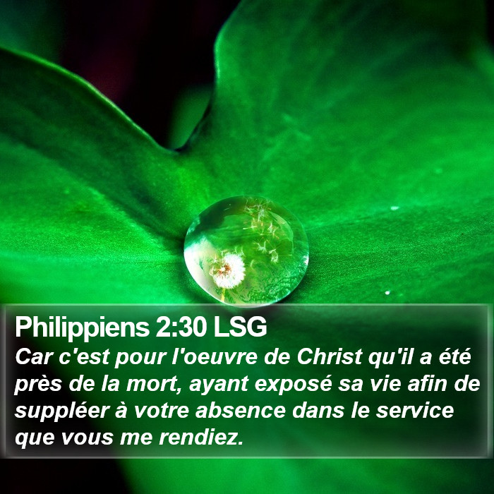 Philippiens 2:30 LSG Bible Study