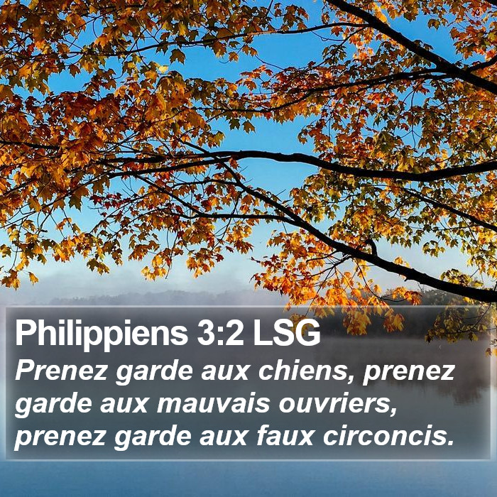 Philippiens 3:2 LSG Bible Study