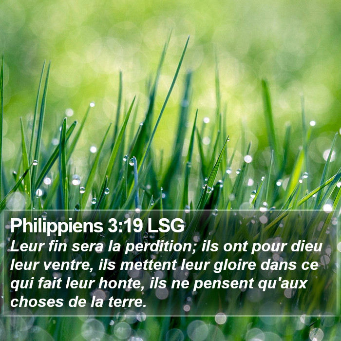 Philippiens 3:19 LSG Bible Study