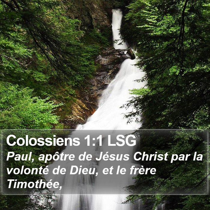 Colossiens 1:1 LSG Bible Study