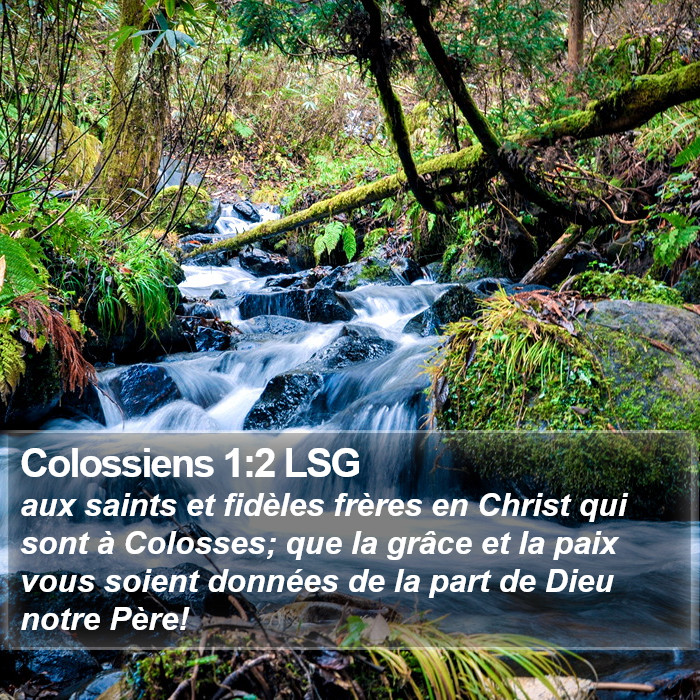 Colossiens 1:2 LSG Bible Study