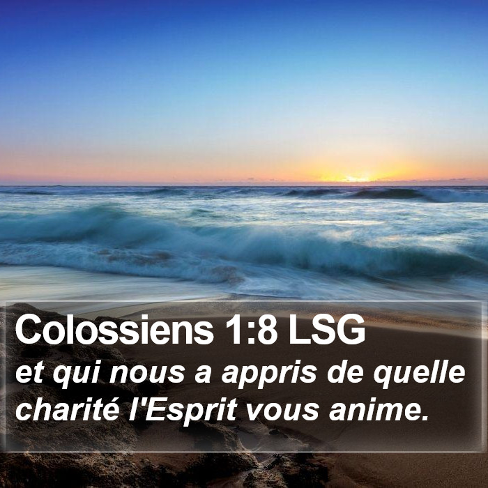 Colossiens 1:8 LSG Bible Study