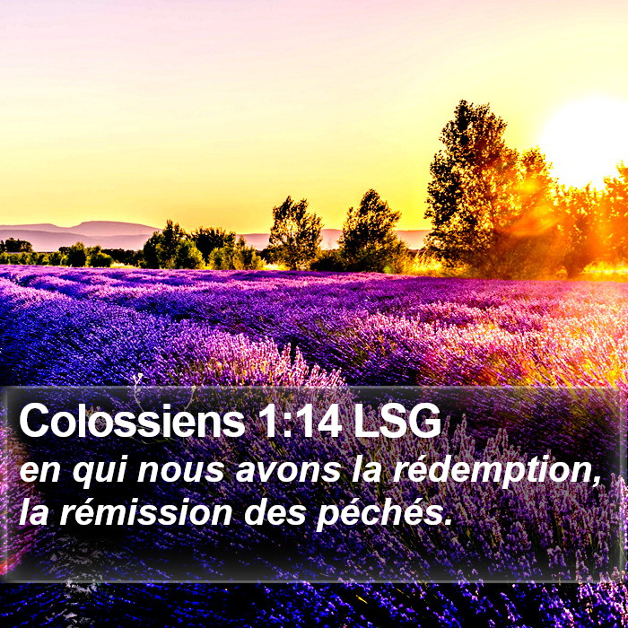 Colossiens 1:14 LSG Bible Study