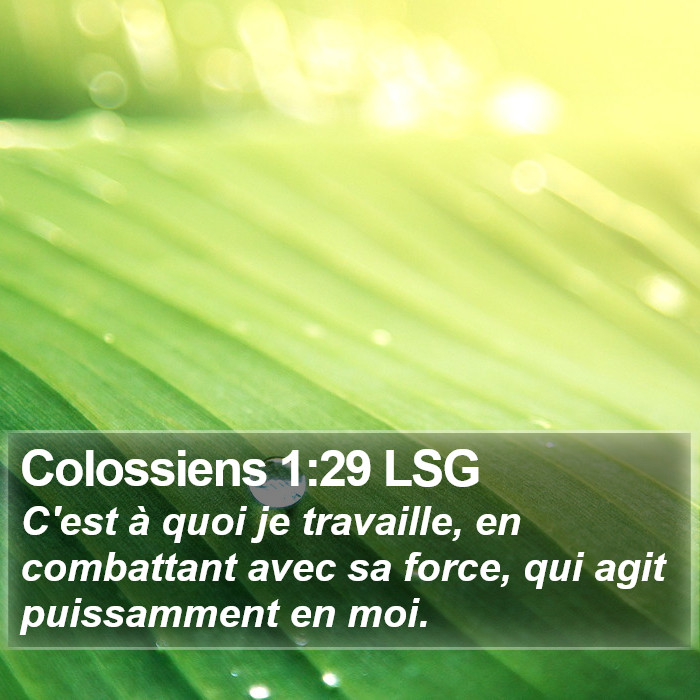 Colossiens 1:29 LSG Bible Study