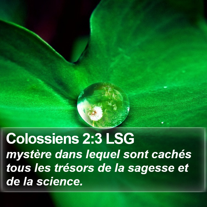 Colossiens 2:3 LSG Bible Study