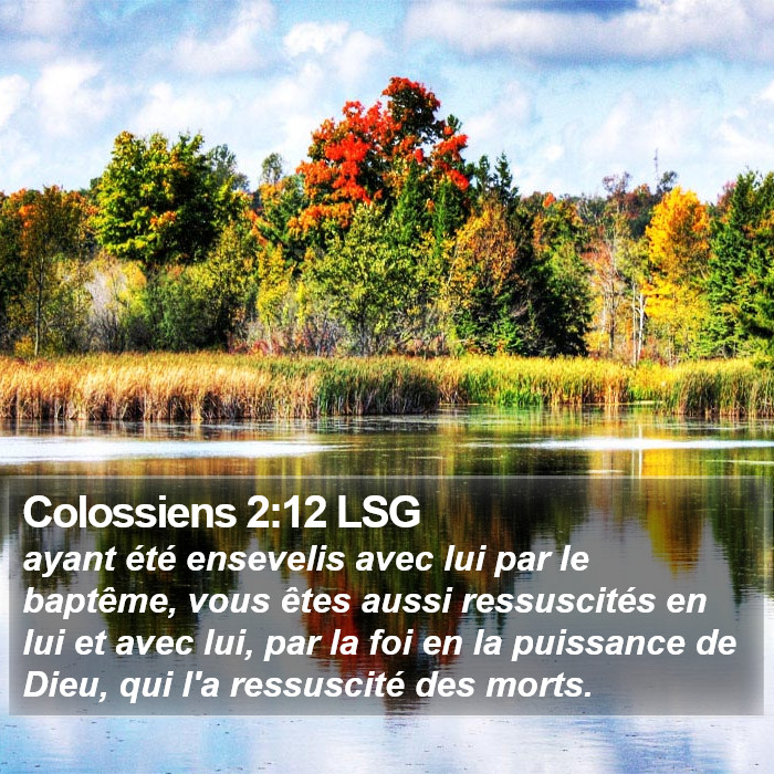 Colossiens 2:12 LSG Bible Study