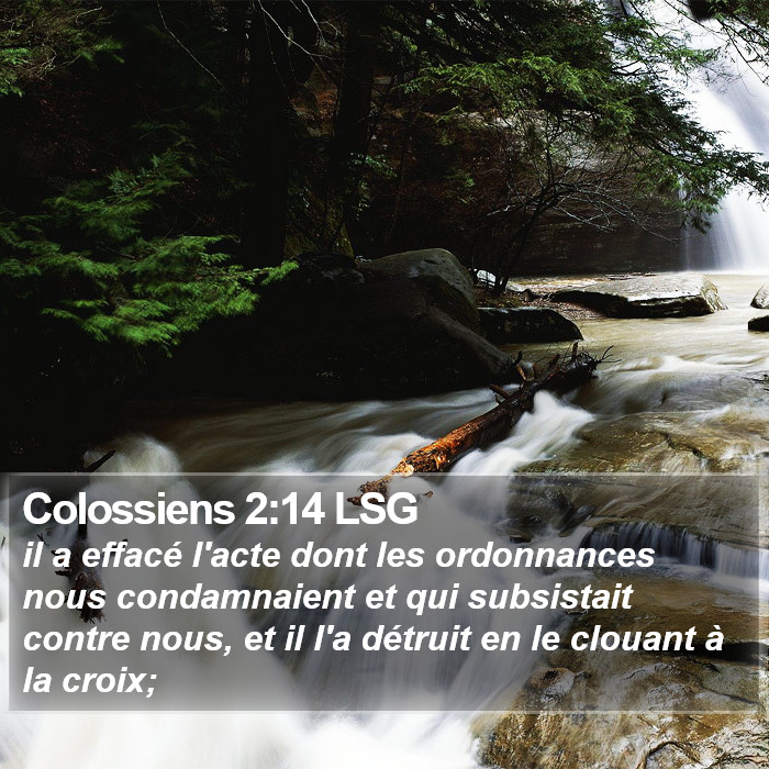 Colossiens 2:14 LSG Bible Study