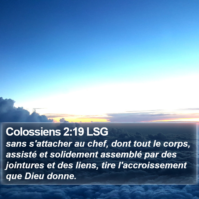 Colossiens 2:19 LSG Bible Study