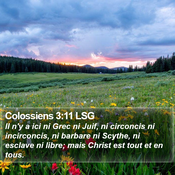 Colossiens 3:11 LSG Bible Study