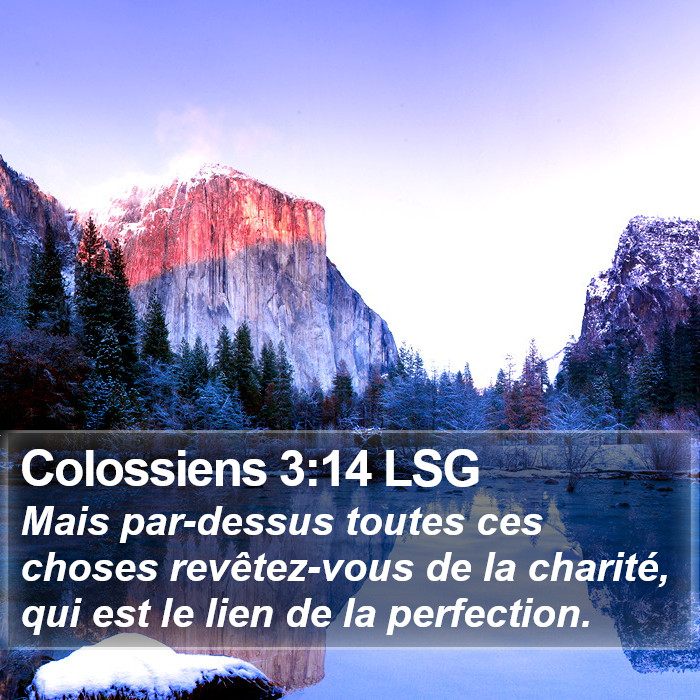 Colossiens 3:14 LSG Bible Study