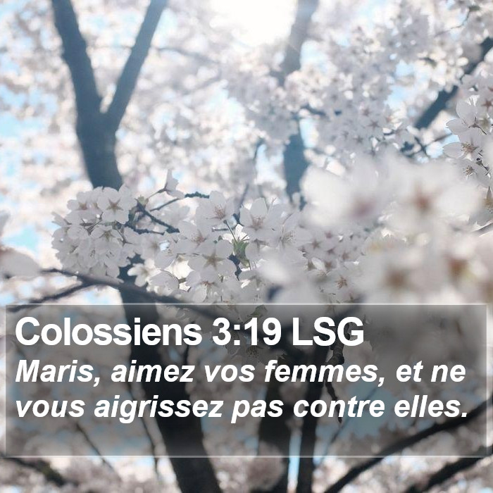 Colossiens 3:19 LSG Bible Study