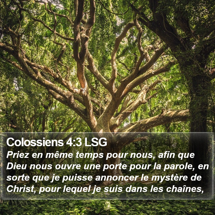 Colossiens 4:3 LSG Bible Study