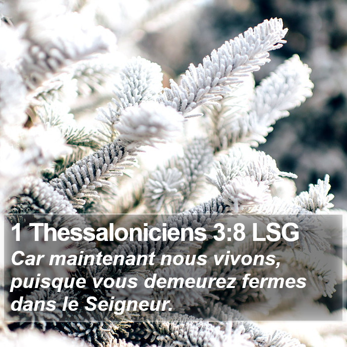 1 Thessaloniciens 3:8 LSG Bible Study