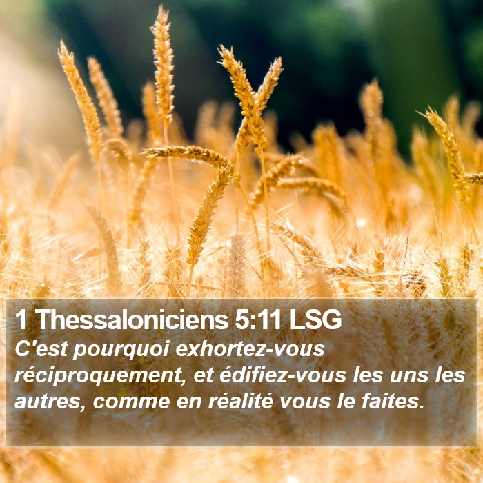 1 Thessaloniciens 5:11 LSG Bible Study