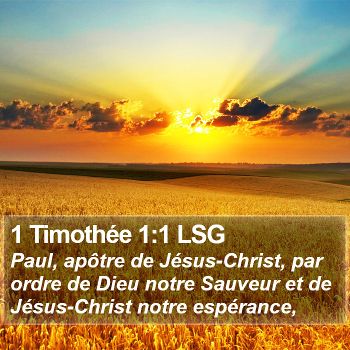 1 Timothée 1:1 LSG Bible Study