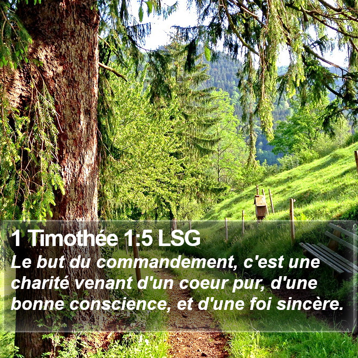 1 Timothée 1:5 LSG Bible Study