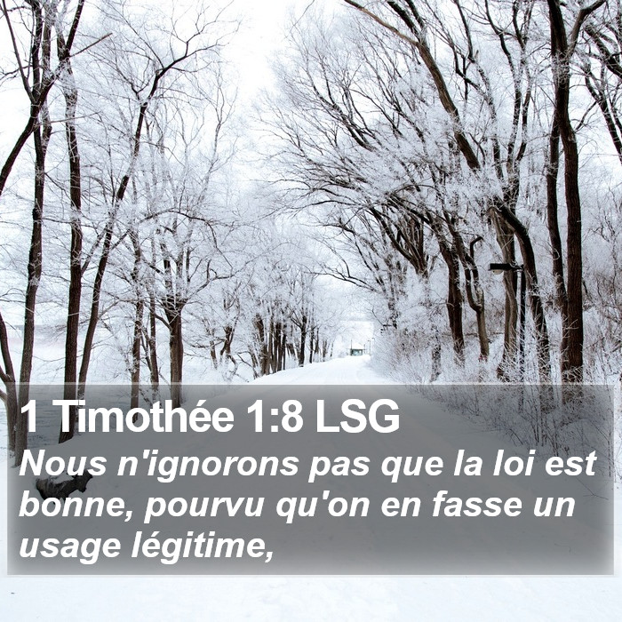 1 Timothée 1:8 LSG Bible Study