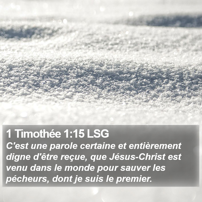 1 Timothée 1:15 LSG Bible Study