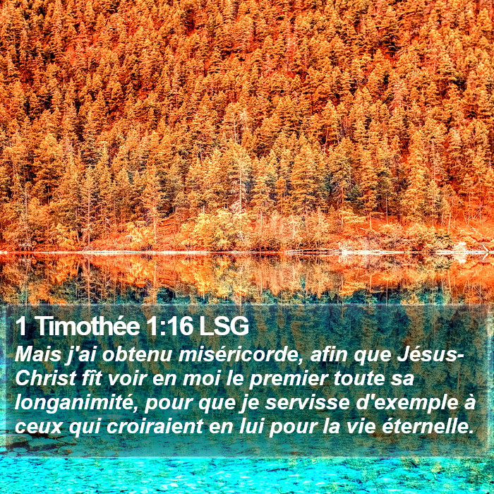 1 Timothée 1:16 LSG Bible Study