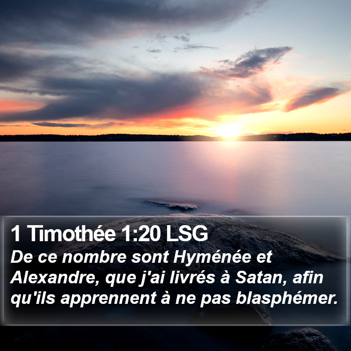 1 Timothée 1:20 LSG Bible Study