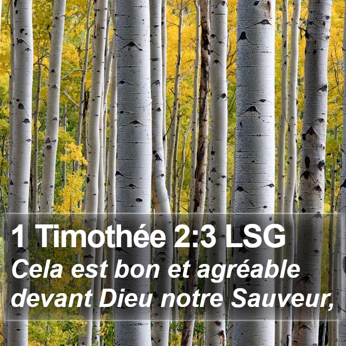 1 Timothée 2:3 LSG Bible Study