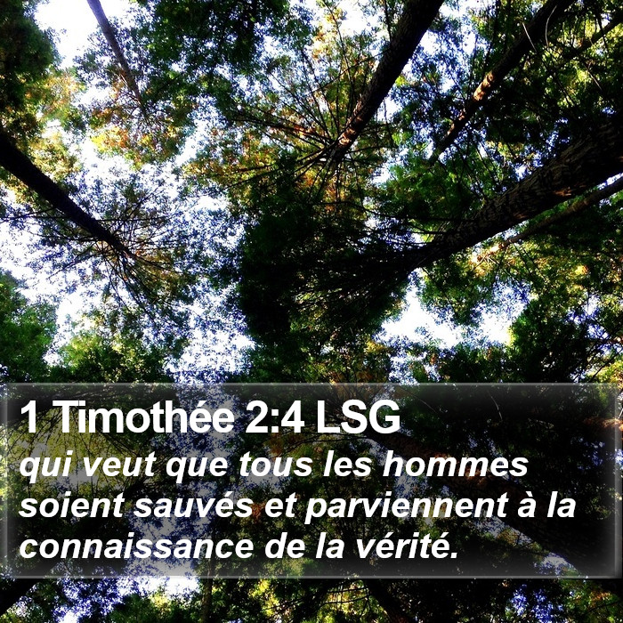 1 Timothée 2:4 LSG Bible Study