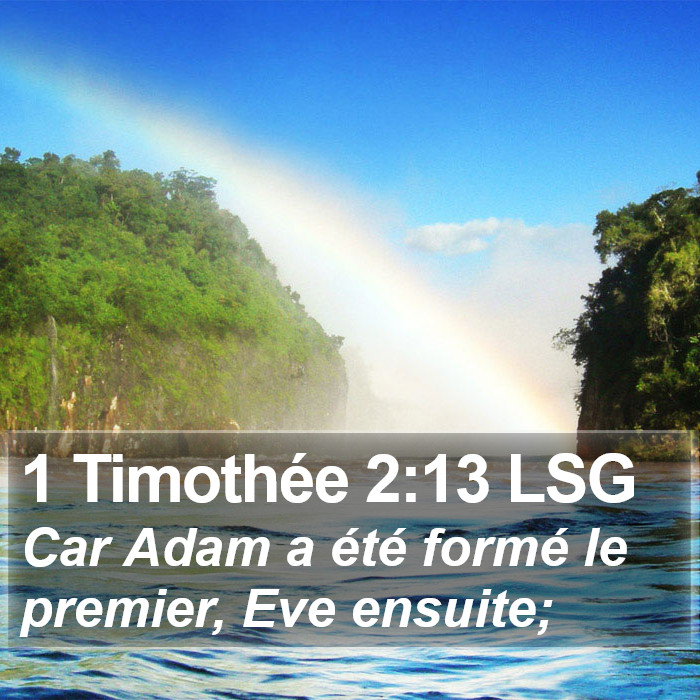 1 Timothée 2:13 LSG Bible Study