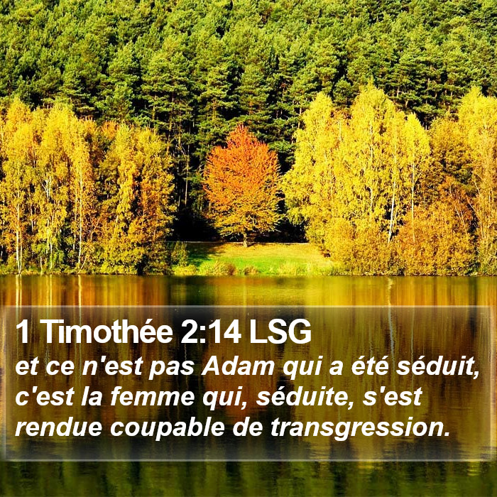 1 Timothée 2:14 LSG Bible Study