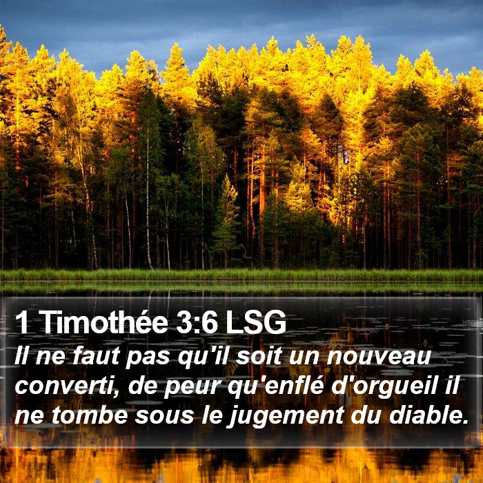 1 Timothée 3:6 LSG Bible Study