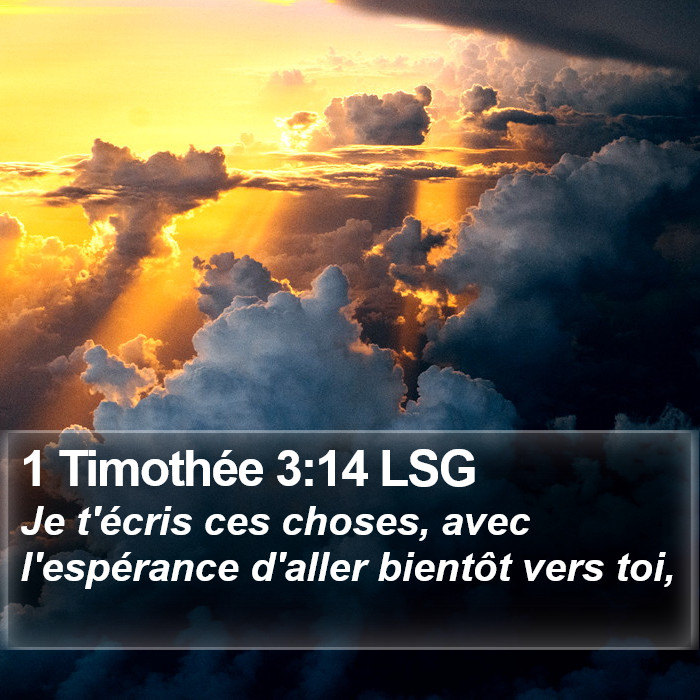 1 Timothée 3:14 LSG Bible Study