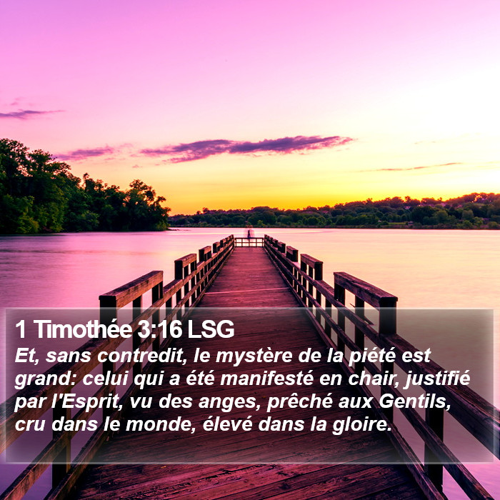 1 Timothée 3:16 LSG Bible Study