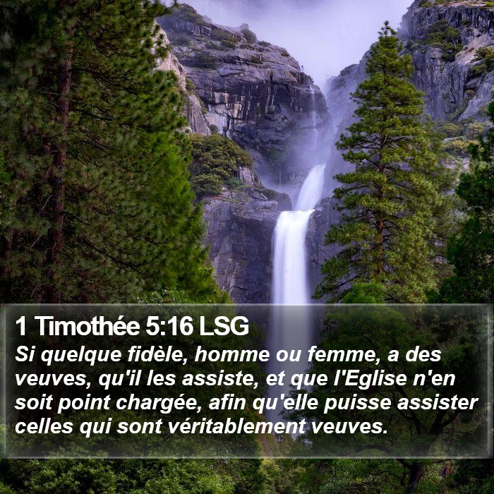 1 Timothée 5:16 LSG Bible Study