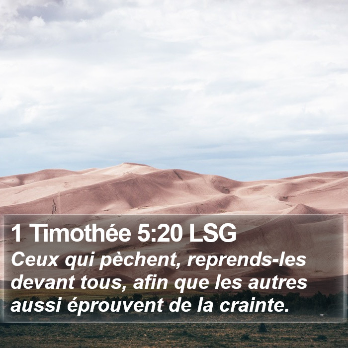 1 Timothée 5:20 LSG Bible Study