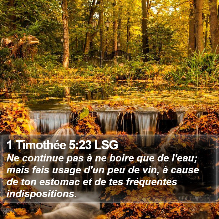 1 Timothée 5:23 LSG Bible Study