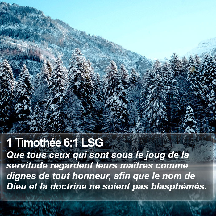 1 Timothée 6:1 LSG Bible Study