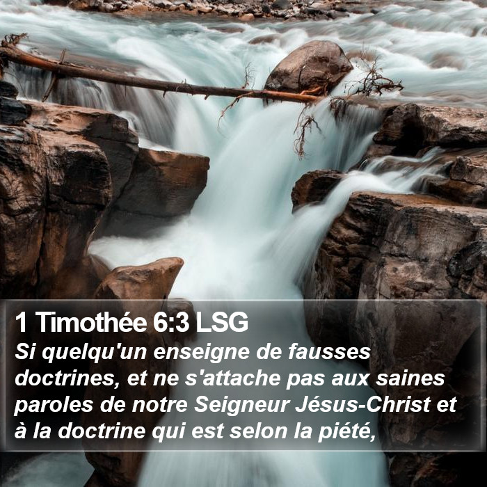 1 Timothée 6:3 LSG Bible Study