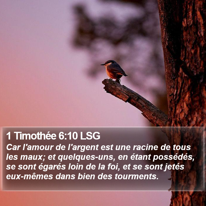 1 Timothée 6:10 LSG Bible Study