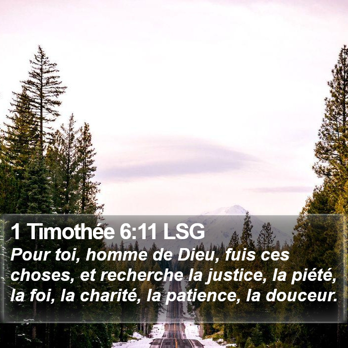 1 Timothée 6:11 LSG Bible Study
