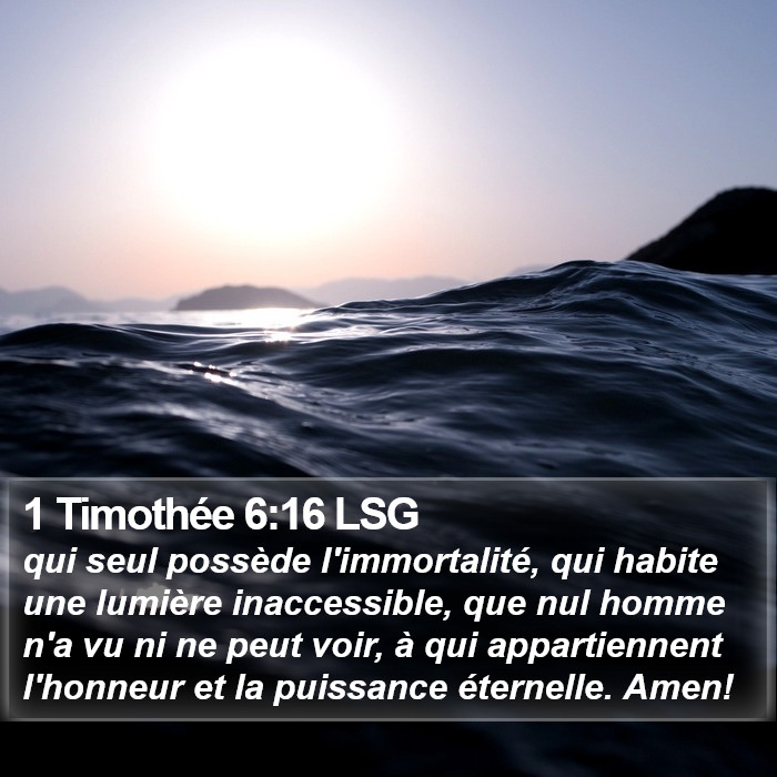 1 Timothée 6:16 LSG Bible Study