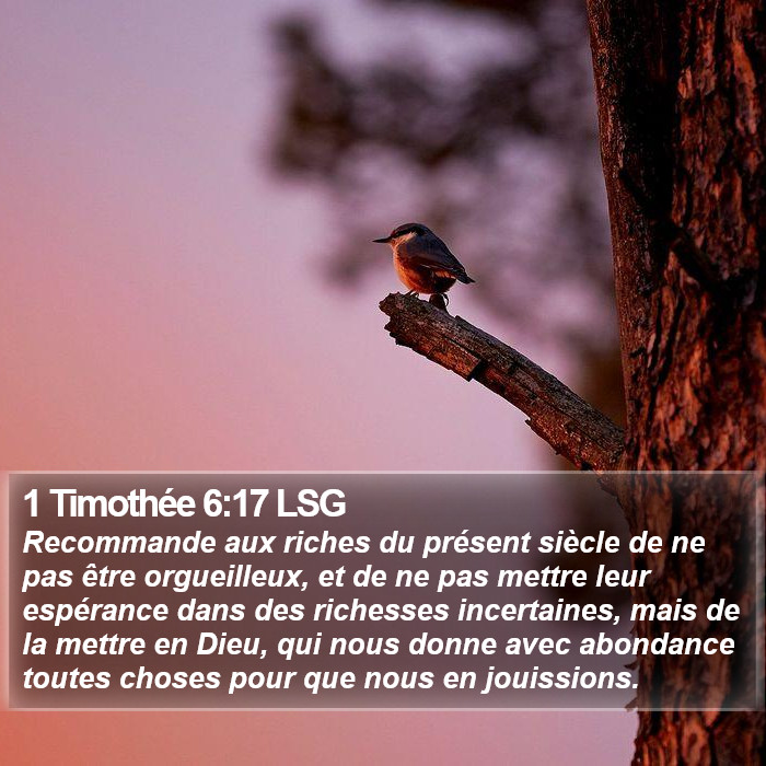 1 Timothée 6:17 LSG Bible Study