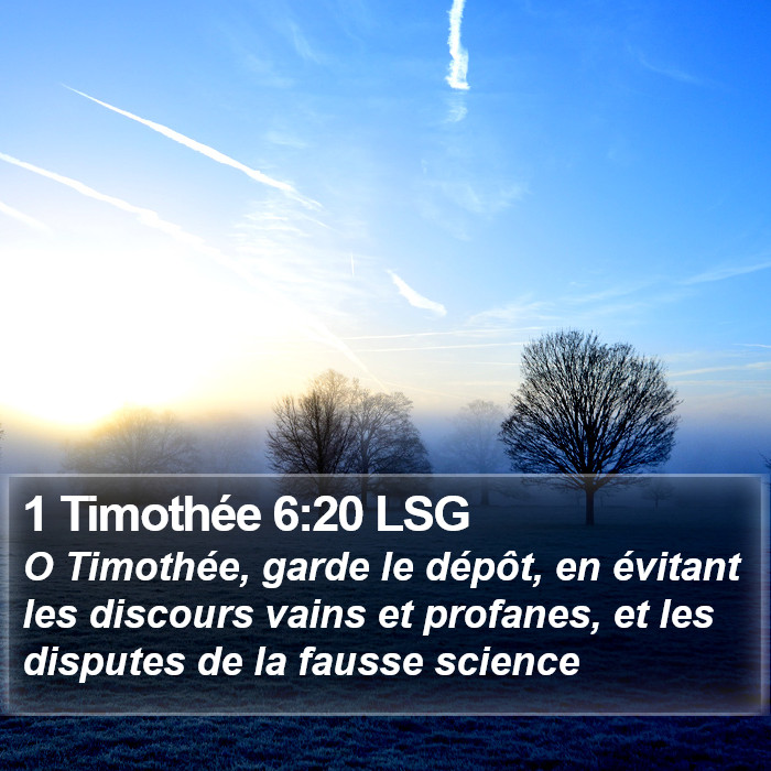 1 Timothée 6:20 LSG Bible Study