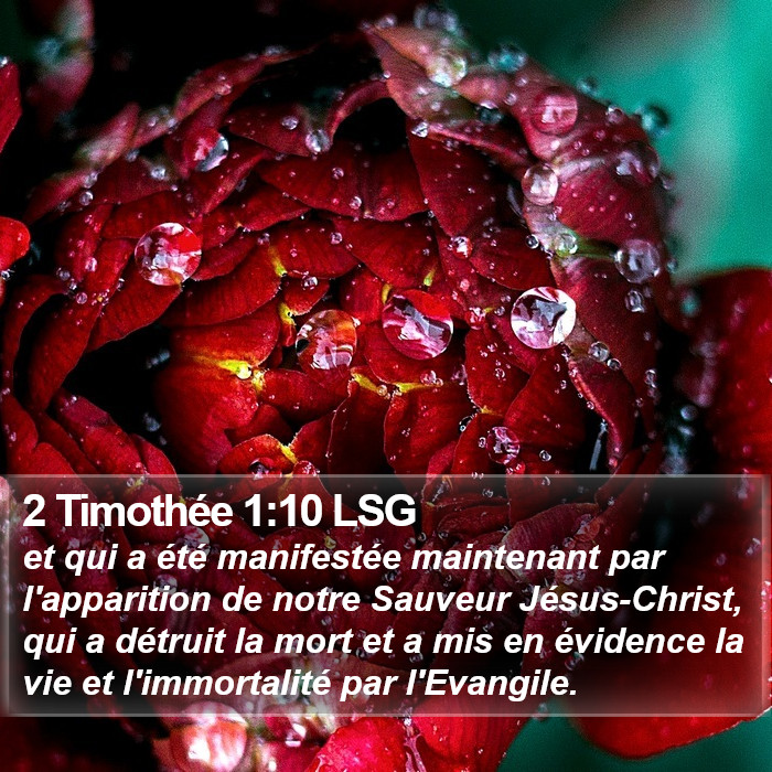 2 Timothée 1:10 LSG Bible Study