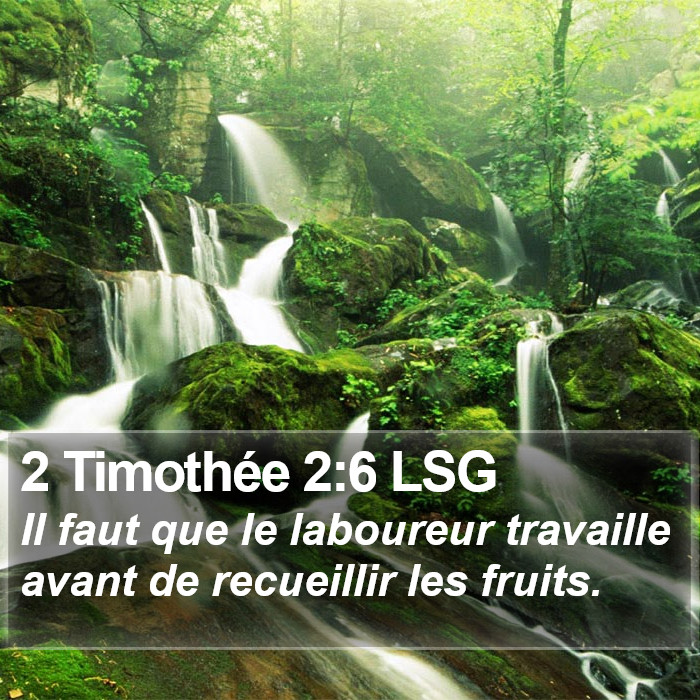 2 Timothée 2:6 LSG Bible Study