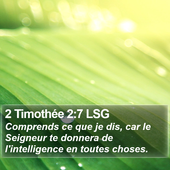 2 Timothée 2:7 LSG Bible Study