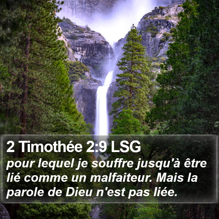 2 Timothée 2:9 LSG Bible Study