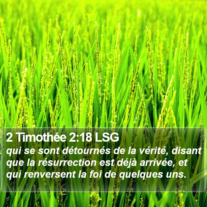 2 Timothée 2:18 LSG Bible Study