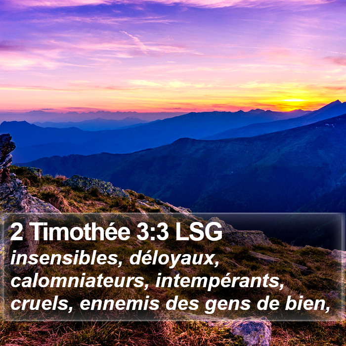 2 Timothée 3:3 LSG Bible Study