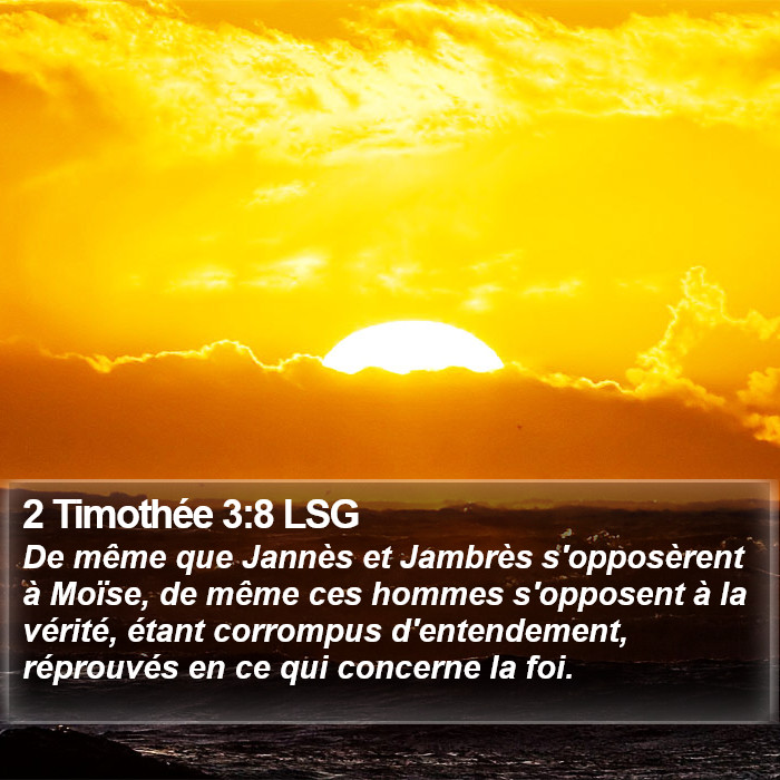 2 Timothée 3:8 LSG Bible Study